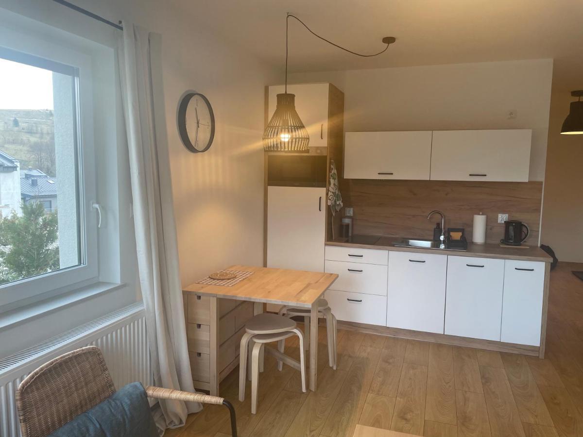 Apartament Kuba Na Spokojnej Wisła Extérieur photo