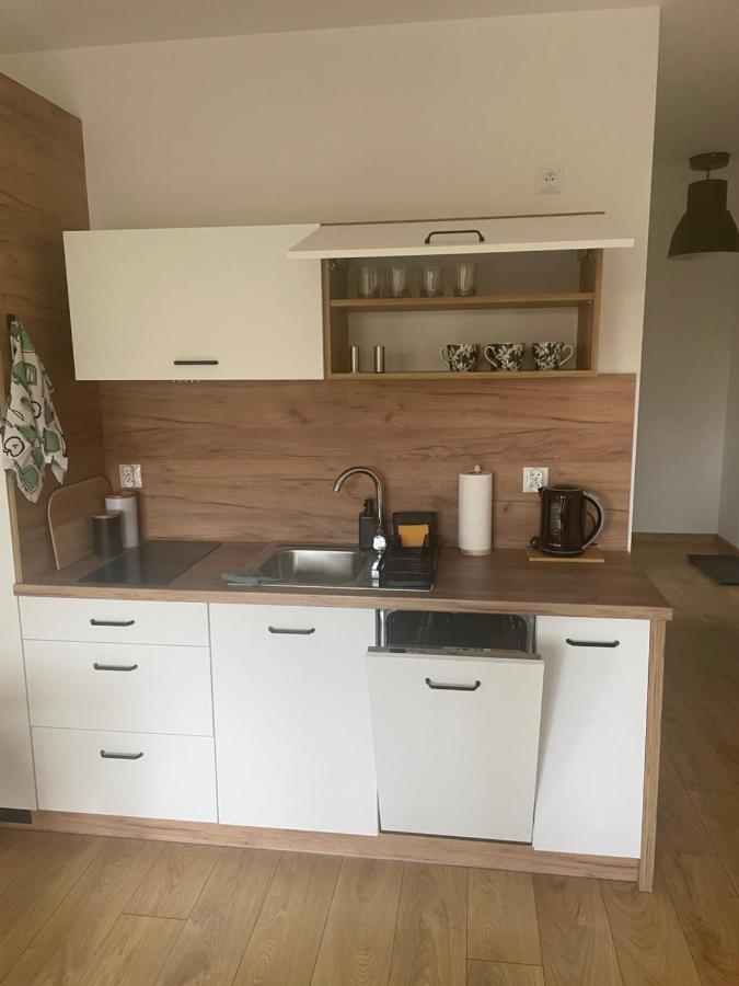 Apartament Kuba Na Spokojnej Wisła Extérieur photo